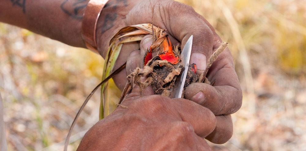 Hands using a knife to cut into something