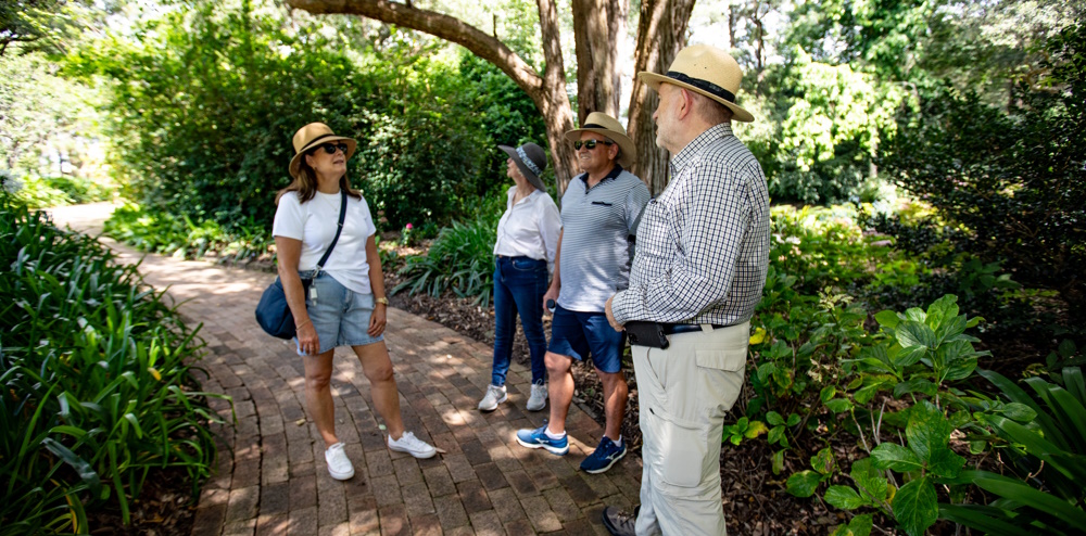 A group of people wearing hats walking on a path at the Wollongong Botanic Garden