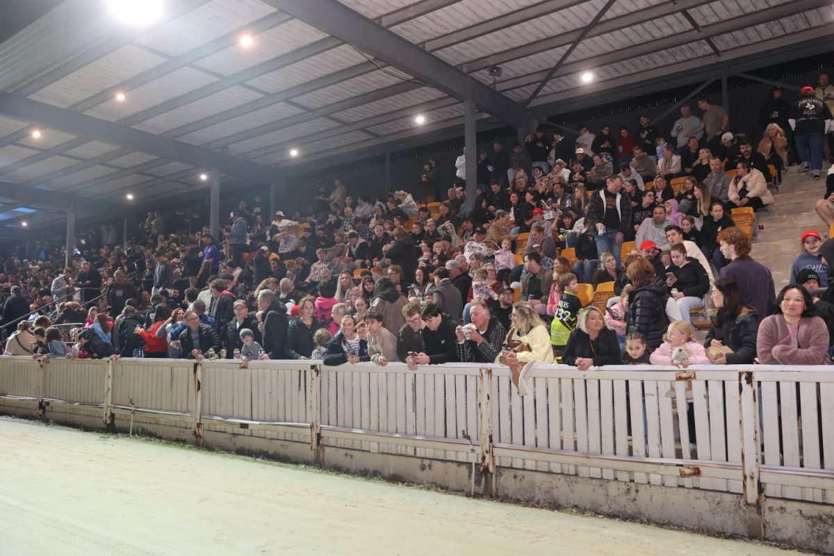 Crowd watching greyhound racing