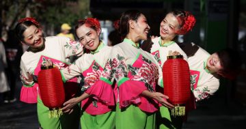 From culture to sport, it's all happening in Wollongong