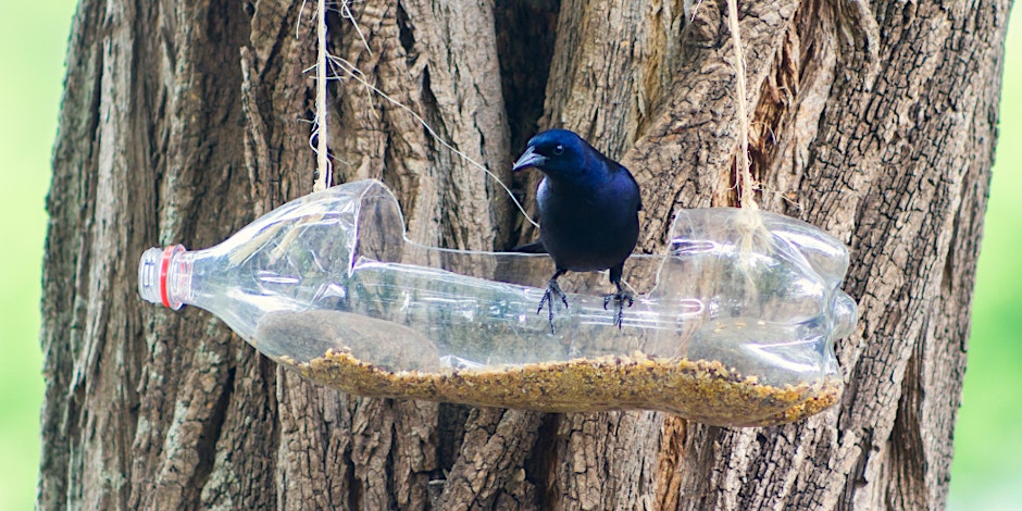 a bird sitting in a homemade bird feeder made from a bottle