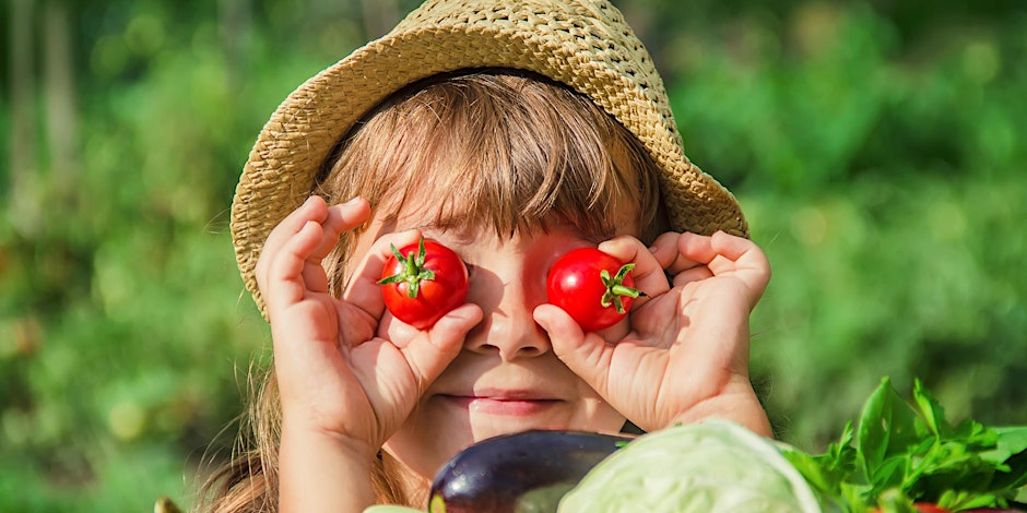 a child wearing a straw hat holding cherry tomatoes in front of their eyes in a garden