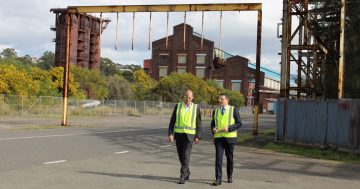 Critical stage of BlueScope's 200-hectare land transformation seeks community input