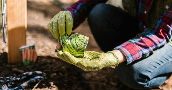 Seed and Sapling Swap at Corrimal Library