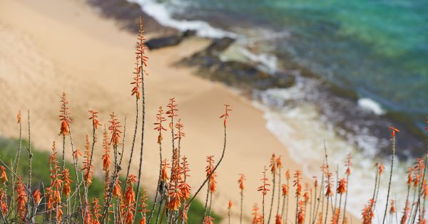 Nine things to do in the Illawarra this week (12 - 18 September)