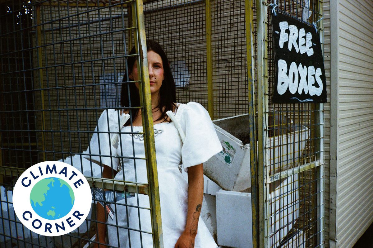 Feel trapped by single-use plastics? Jessie Alice has some solutions.