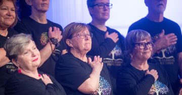 The little Illawarra choir taking pride in performing