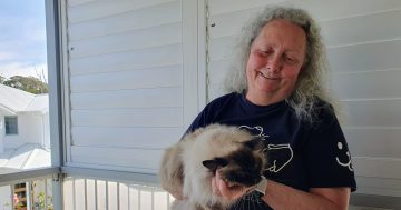 Meet the woman who's spent the past two decades finding animals new homes