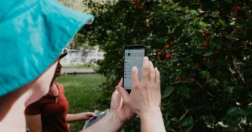 Go wild to uncover the hidden creatures of Croom Reserve at nature event BioBlitz
