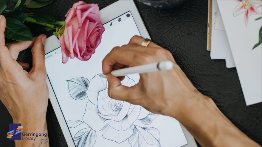 Hand digitally sketches a rose