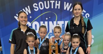 Illawarra gymnastics clubs claim NSW Country Championship crowns