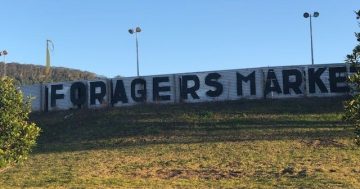 Mystery surrounds future of Bulli Showground amid greyhound racing debacle