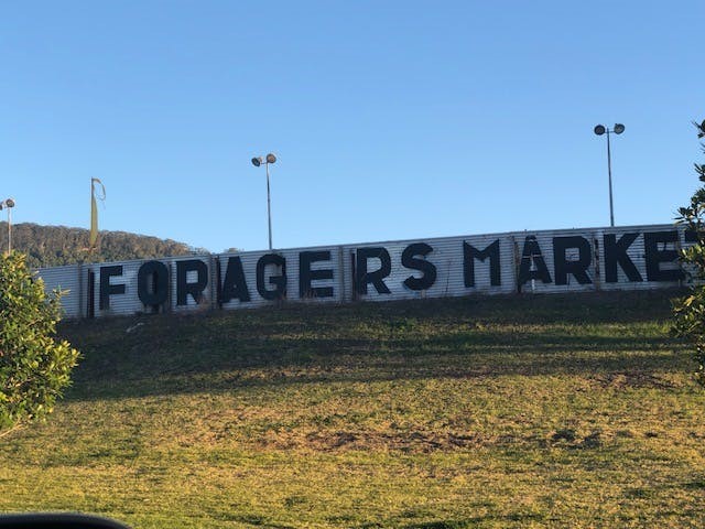 Will Bulli Showground get a makeover and become the hub of greyhound racing in the Illawarra? Or will the sport - and the facility - continue its downward slide?