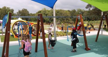 The top Illawarra playgrounds where everyone is included in the fun