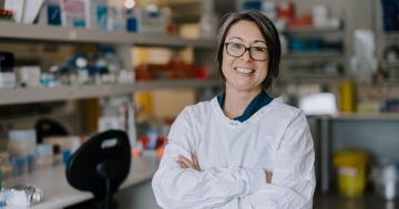 Quantum lands in Wollongong, no leap required