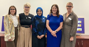 Funding boost for program supporting CALD community members navigate disability services