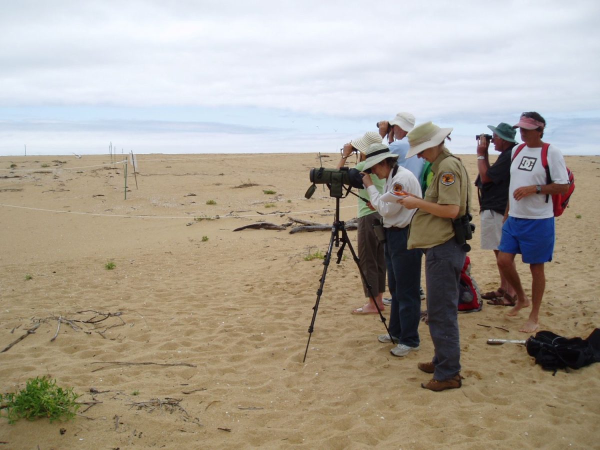 people trying to spot birds