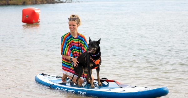 Shellharbour SUP Festival returns with pros, paddlers and even Pups on SUPS