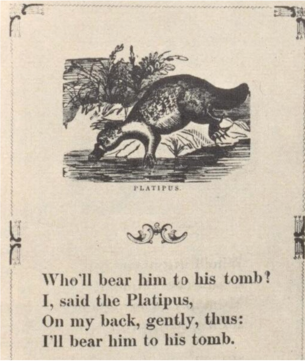 The reference to a "platipus" in the 1841 book, <em>Mother's Offering to her Children</em>. 