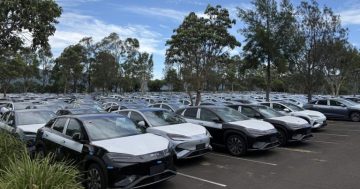 Could carparks save our waterparks? Jamberoo is about to find out