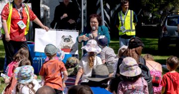 Lord Mayor's School Starter Picnic
