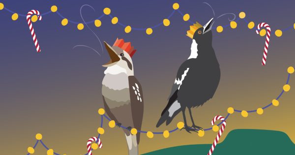 Carols in MacCabe Park