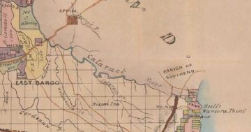 'Woronora' or 'Waniora' at Bulli (it’s all pretty 'Tom Ugly' to me)