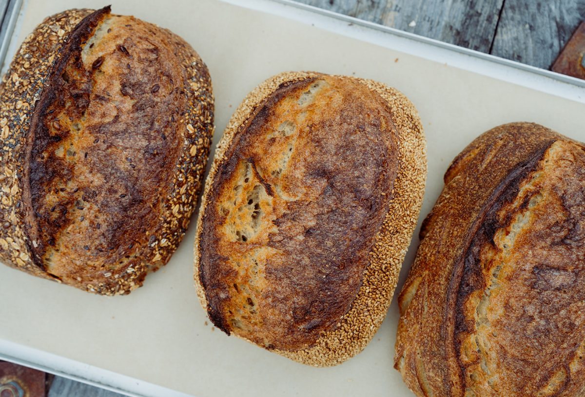 sourdough bread