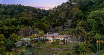 On 31 ha floating above the coast, check out Mount Keira’s ultimate estate opportunity