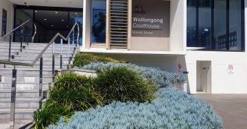 Second offender in Albion Park axe attack sentenced