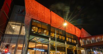 Wollongong fires up for 16 days of activism