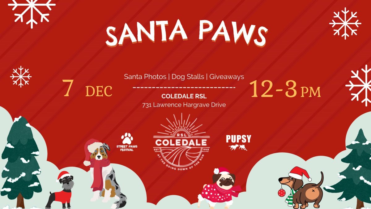 Banner for Santa Paws event