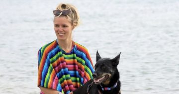 QUIZ: What's SUP, dog? Plus 9 other questions