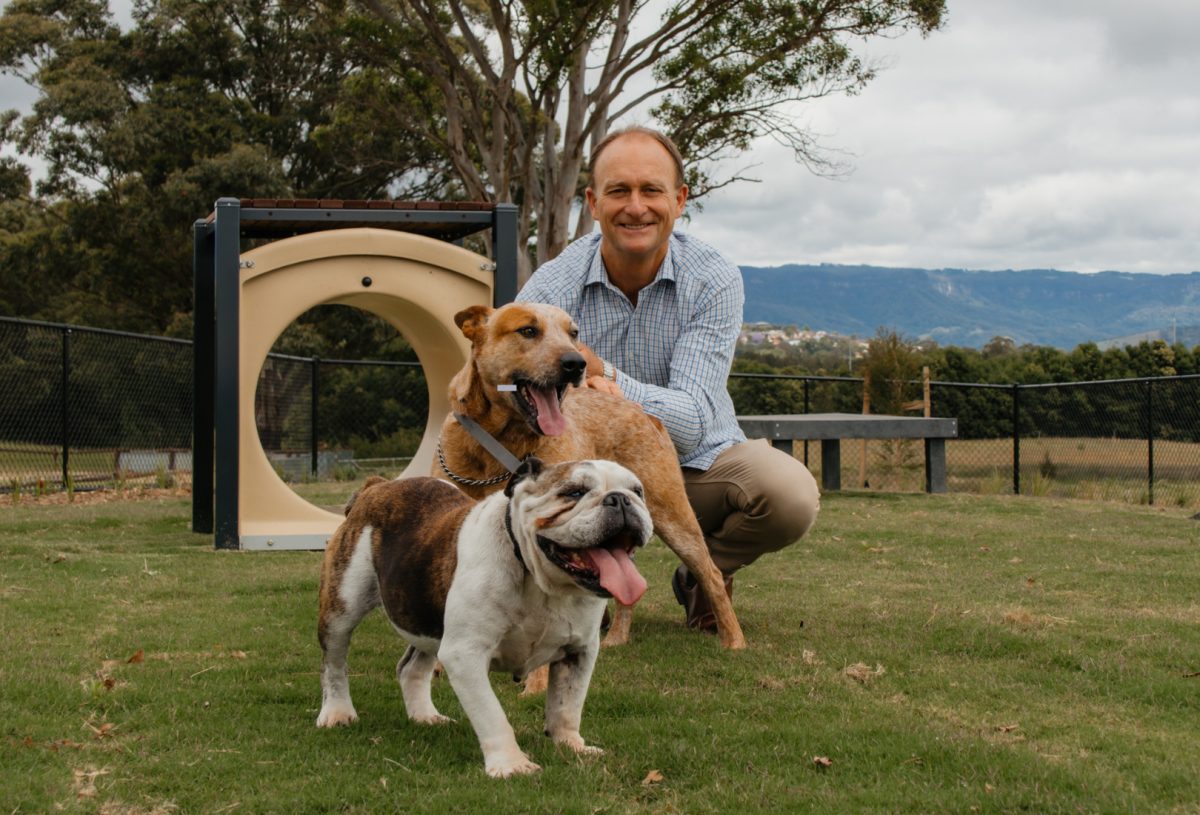Croom Dog Agility Park