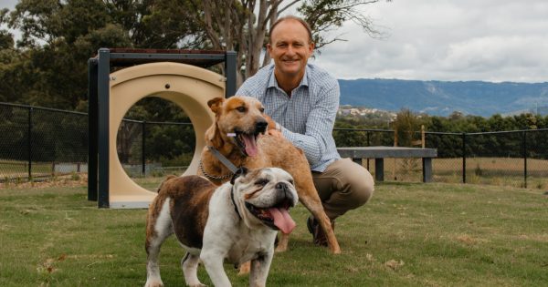 Need a place to unleash your dog’s true abilities? Try the new Croom Dog Agility Park