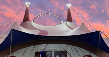 Big top variety show planned for Bulli left with 'sour taste' after month-long run cut short