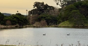 Get an expert tour through one of the Illawarra's lush hidden treasures