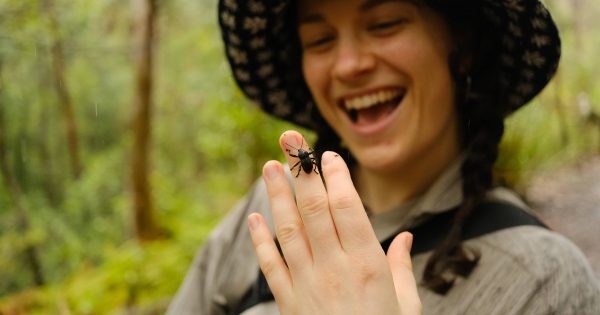 We're going on a bug hunt - here's how you can join in