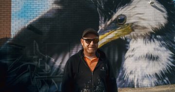 Celebrated artist to reflect town's beauty in Terralong Street bridge transformation
