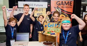 Cricket brownies deliver Game Changer victory for Albion Park’s Mount Terry Primary