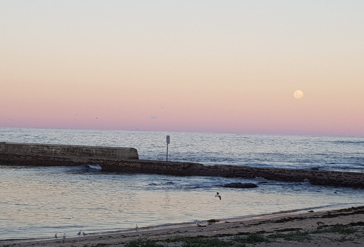 Shellharbour breakwall