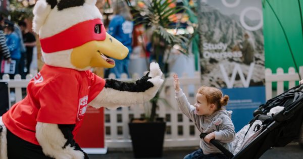 Nine things to do in the Illawarra this week (14 - 20 November)