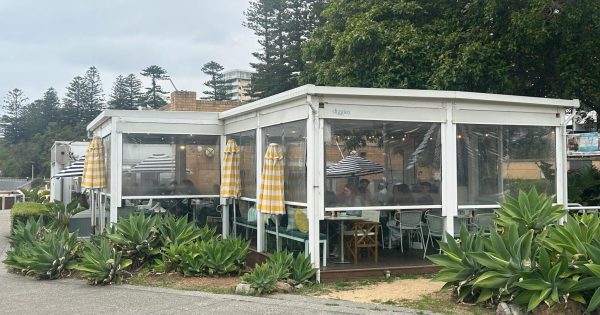 Will this summer be Diggies' last hurrah?