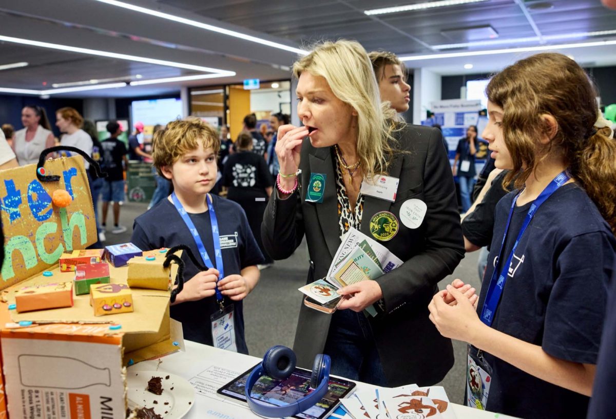 cricket chocolate brownies