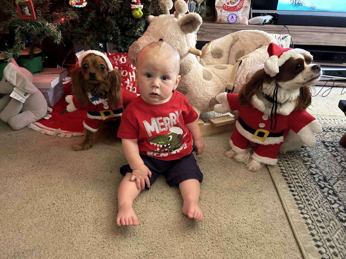 Henry and dogs George and Leo 