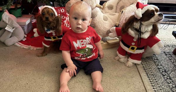 My first Christmas away from home as growing family changes festive traditions