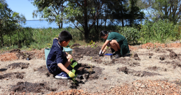 Little poets help grow big trees in national nature writing competition
