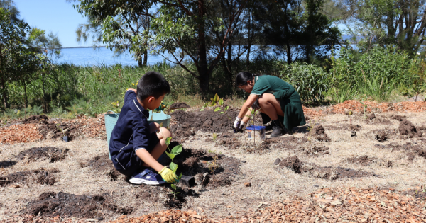 Little poets help grow big trees in national nature writing competition