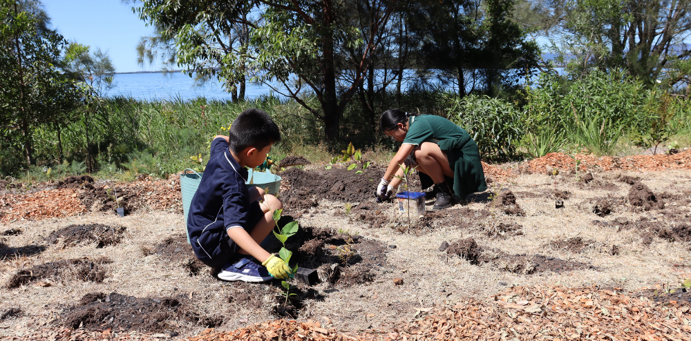 Two students planting trees
