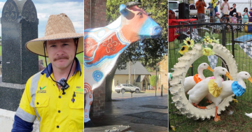 QUIZ: What's happening in Wollongong cemeteries? Plus 9 other questions